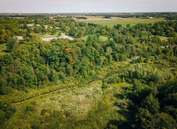 Bruce Mill