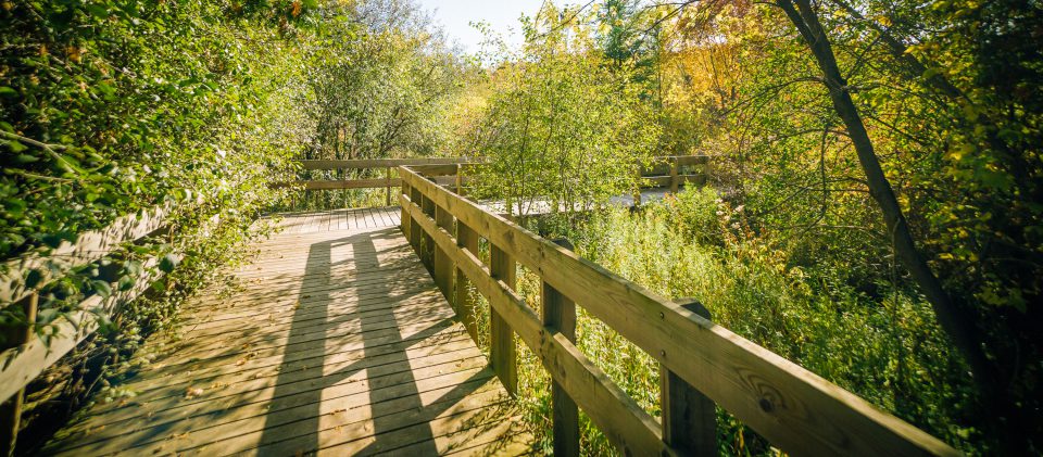 Phyllis Rawlinson Park
